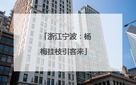 浙江宁波：杨梅挂枝引客来
