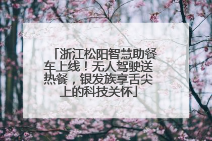 浙江松阳智慧助餐车上线！无人驾驶送热餐，银发族享舌尖上的科技关怀