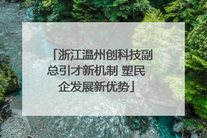 浙江温州创科技副总引才新机制 塑民企发展新优势