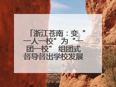浙江苍南：变“一人一校”为“一团一校” 组团式督导督出学校发展加速度