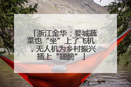 浙江金华：婺城蔬菜也“坐”上了飞机，无人机为乡村振兴插上“翅膀”