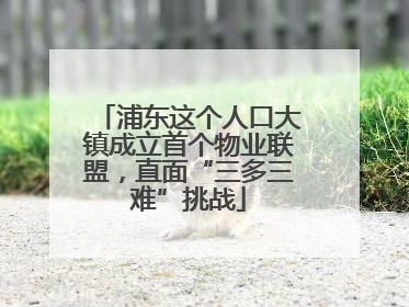浦东这个人口大镇成立首个物业联盟，直面“三多三难”挑战