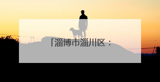 淄博市淄川区：“志愿微光”守护夜市文明烟火