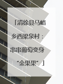 清徐县马峪乡西梁泉村：串串葡萄变身“金果果”