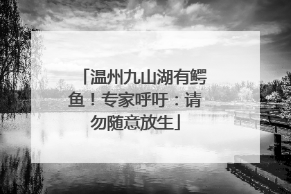 温州九山湖有鳄鱼！专家呼吁：请勿随意放生