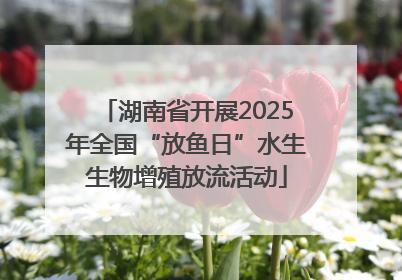 湖南省开展2025年全国“放鱼日”水生生物增殖放流活动