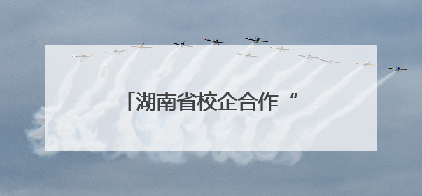 湖南省校企合作“双进双转”工作推进会在衡阳召开
