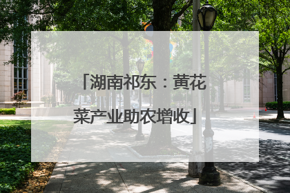 湖南祁东：黄花菜产业助农增收