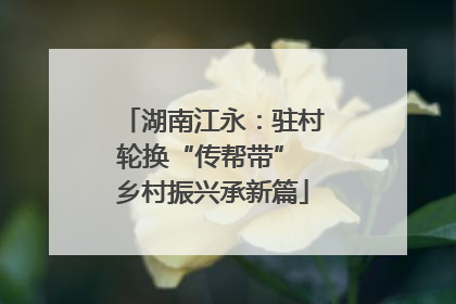 湖南江永：驻村轮换“传帮带” 乡村振兴承新篇