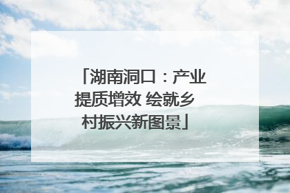 湖南洞口：产业提质增效 绘就乡村振兴新图景