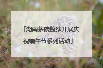 湖南茶陵监狱开展庆祝端午节系列活动