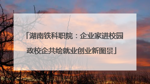 湖南铁科职院：企业家进校园 政校企共绘就业创业新图景