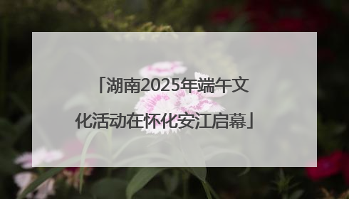 湖南2025年端午文化活动在怀化安江启幕