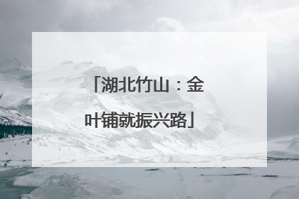 湖北竹山：金叶铺就振兴路