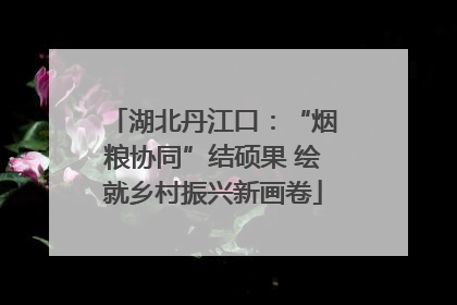 湖北丹江口：“烟粮协同”结硕果 绘就乡村振兴新画卷