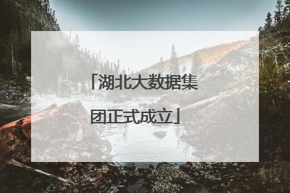 湖北大数据集团正式成立