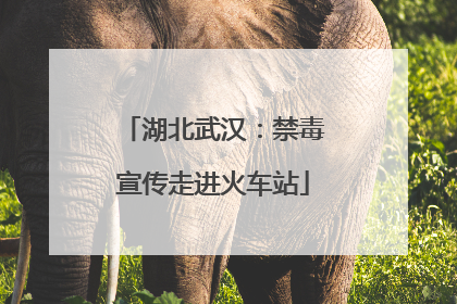 湖北武汉：禁毒宣传走进火车站