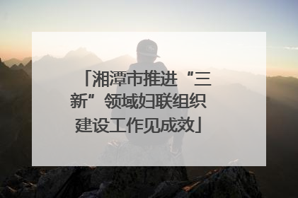 湘潭市推进“三新”领域妇联组织建设工作见成效
