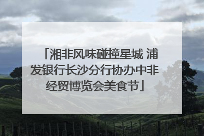 湘非风味碰撞星城 浦发银行长沙分行协办中非经贸博览会美食节