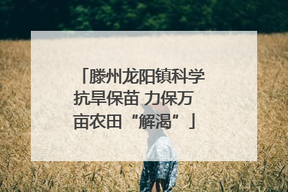 滕州龙阳镇科学抗旱保苗 力保万亩农田“解渴”