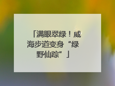 满眼翠绿！威海步道变身“绿野仙踪”