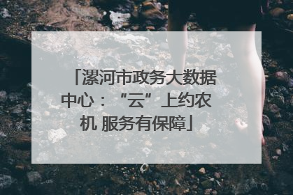 漯河市政务大数据中心：“云”上约农机 服务有保障