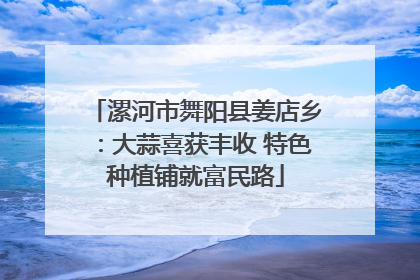 漯河市舞阳县姜店乡：大蒜喜获丰收 特色种植铺就富民路