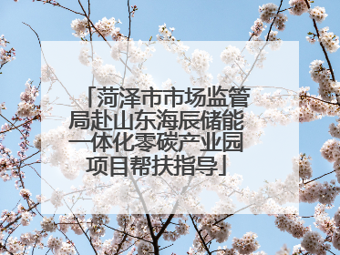 菏泽市市场监管局赴山东海辰储能一体化零碳产业园项目帮扶指导