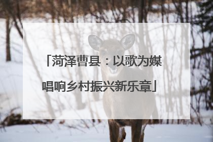 菏泽曹县：以歌为媒 唱响乡村振兴新乐章