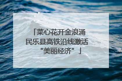 菜心花开金浪涌 民乐县高铁沿线激活“美丽经济”
