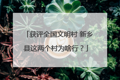 获评全国文明村 新乡县这两个村为啥行？