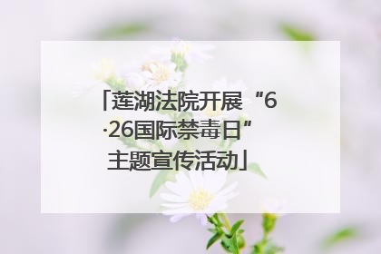 莲湖法院开展“6·26国际禁毒日”主题宣传活动
