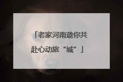 老家河南邀你共赴心动旅“城”