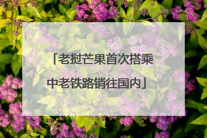 老挝芒果首次搭乘中老铁路销往国内