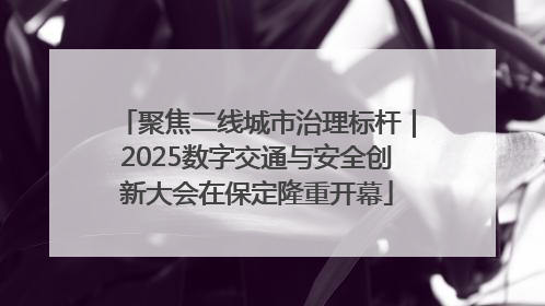 聚焦二线城市治理标杆｜2025数字交通与安全创新大会在保定隆重开幕