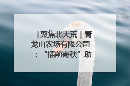 聚焦北大荒｜青龙山农场有限公司：“插前寄秧”助力农业节本增效