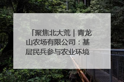 聚焦北大荒｜青龙山农场有限公司：基层民兵参与农业环境综合治理显效