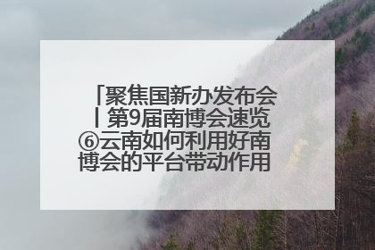 聚焦国新办发布会丨第9届南博会速览⑥云南如何利用好南博会的平台带动作用，深化与南亚国家的交流与合作？