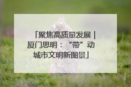 聚焦高质量发展｜厦门思明：“带”动城市文明新图景