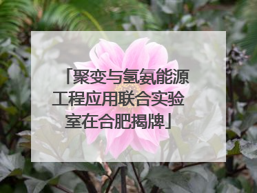 聚变与氢氨能源工程应用联合实验室在合肥揭牌