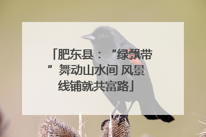 肥东县：“绿飘带”舞动山水间 风景线铺就共富路
