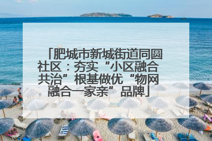肥城市新城街道同圆社区：夯实“小区融合共治”根基做优“物网融合一家亲”品牌