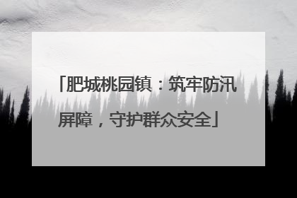 肥城桃园镇：筑牢防汛屏障，守护群众安全