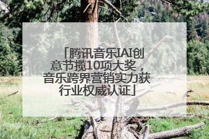 腾讯音乐IAI创意节揽10项大奖，音乐跨界营销实力获行业权威认证