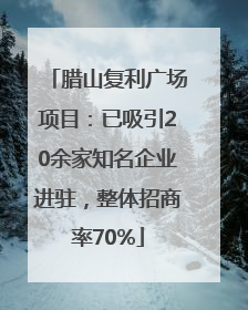 腊山复利广场项目：已吸引20余家知名企业进驻，整体招商率70%
