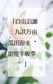 自贡沿滩：九洪万亩瓜田迎来“甜蜜丰收季”