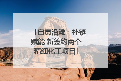 自贡沿滩：补链赋能 新签约两个精细化工项目