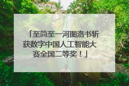 至简至一河图洛书斩获数字中国人工智能大赛全国二等奖！