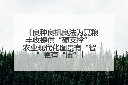 良种良机良法为夏粮丰收提供“硬支撑” 农业现代化图景有“智”更有“质”