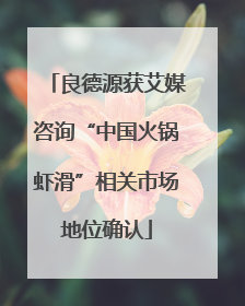 良德源获艾媒咨询“中国火锅虾滑”相关市场地位确认